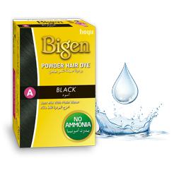 Bigen Powder Hair Dye